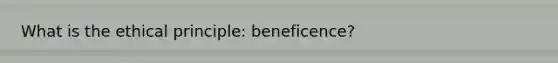 What is the ethical principle: beneficence?