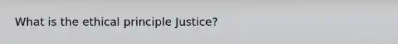 What is the ethical principle Justice?