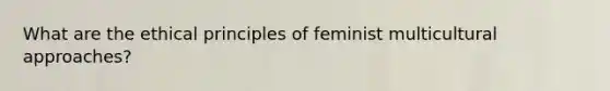 What are the ethical principles of feminist multicultural approaches?