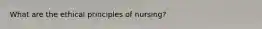 What are the ethical principles of nursing?