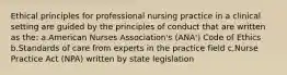 Ethical principles for professional nursing practice in a clinical setting are guided by the principles of conduct that are written as the: a.American Nurses Association's (ANA') Code of Ethics b.Standards of care from experts in the practice field c.Nurse Practice Act (NPA) written by state legislation