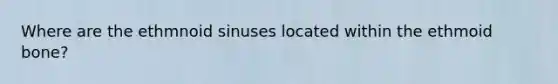 Where are the ethmnoid sinuses located within the ethmoid bone?