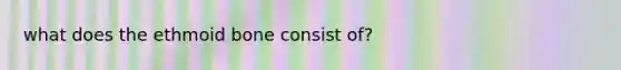 what does the ethmoid bone consist of?