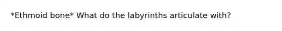 *Ethmoid bone* What do the labyrinths articulate with?