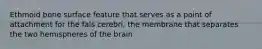 Ethmoid bone surface feature that serves as a point of attachment for the fals cerebri, the membrane that separates the two hemispheres of the brain