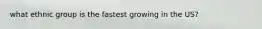 what ethnic group is the fastest growing in the US?