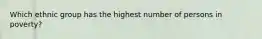 Which ethnic group has the highest number of persons in poverty?