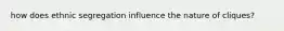 how does ethnic segregation influence the nature of cliques?