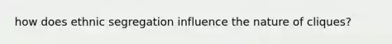 how does ethnic segregation influence the nature of cliques?