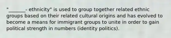 "_______- ethnicity" is used to group together related ethnic groups based on their related cultural origins and has evolved to become a means for immigrant groups to unite in order to gain political strength in numbers (identity politics).