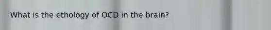 What is the ethology of OCD in the brain?