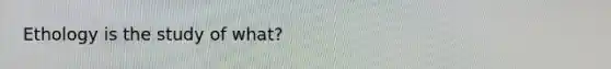 Ethology is the study of what?
