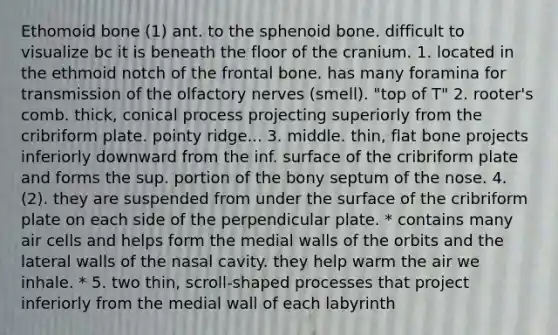 Ethomoid bone (1) ant. to the sphenoid bone. difficult to visualize bc it is beneath the floor of the cranium. 1. located in the ethmoid notch of the frontal bone. has many foramina for transmission of the olfactory nerves (smell). "top of T" 2. rooter's comb. thick, conical process projecting superiorly from the cribriform plate. pointy ridge... 3. middle. thin, flat bone projects inferiorly downward from the inf. surface of the cribriform plate and forms the sup. portion of the bony septum of the nose. 4. (2). they are suspended from under the surface of the cribriform plate on each side of the perpendicular plate. * contains many air cells and helps form the medial walls of the orbits and the lateral walls of the nasal cavity. they help warm the air we inhale. * 5. two thin, scroll-shaped processes that project inferiorly from the medial wall of each labyrinth