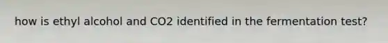 how is ethyl alcohol and CO2 identified in the fermentation test?