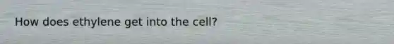 How does ethylene get into the cell?