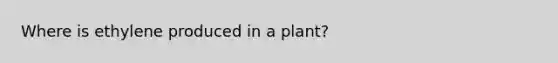 Where is ethylene produced in a plant?