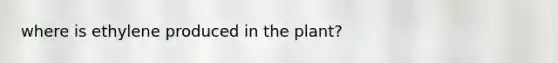 where is ethylene produced in the plant?