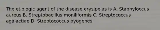 The etiologic agent of the disease erysipelas is A. Staphyloccus aureus B. Streptobacillus moniliformis C. Streptococcus agalactiae D. Streptococcus pyogenes