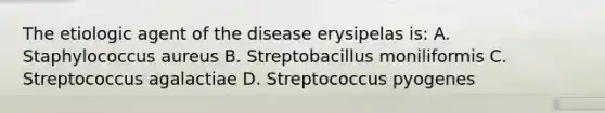 The etiologic agent of the disease erysipelas is: A. Staphylococcus aureus B. Streptobacillus moniliformis C. Streptococcus agalactiae D. Streptococcus pyogenes