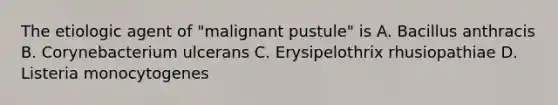 The etiologic agent of "malignant pustule" is A. Bacillus anthracis B. Corynebacterium ulcerans C. Erysipelothrix rhusiopathiae D. Listeria monocytogenes