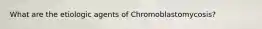 What are the etiologic agents of Chromoblastomycosis?