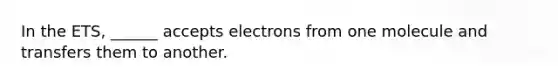 In the ETS, ______ accepts electrons from one molecule and transfers them to another.