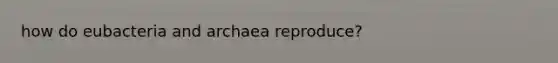 how do eubacteria and archaea reproduce?