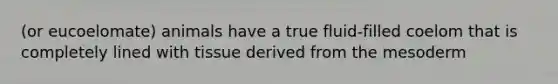 (or eucoelomate) animals have a true fluid-filled coelom that is completely lined with tissue derived from the mesoderm