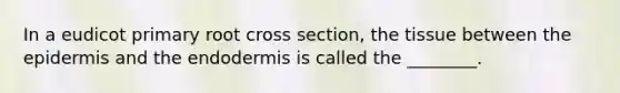 In a eudicot primary root cross section, the tissue between the epidermis and the endodermis is called the ________.