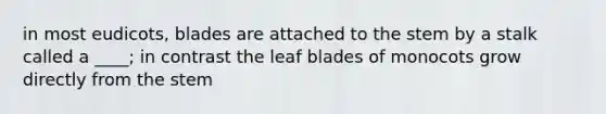 in most eudicots, blades are attached to the stem by a stalk called a ____; in contrast the leaf blades of monocots grow directly from the stem