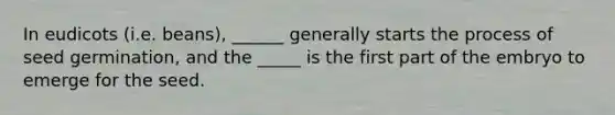 In eudicots (i.e. beans), ______ generally starts the process of seed germination, and the _____ is the first part of the embryo to emerge for the seed.