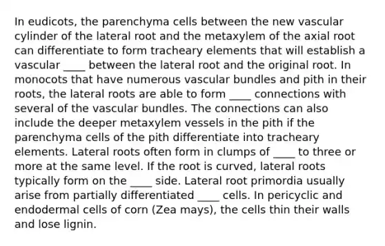 In eudicots, the parenchyma cells between the new vascular cylinder of the lateral root and the metaxylem of the axial root can differentiate to form tracheary elements that will establish a vascular ____ between the lateral root and the original root. In monocots that have numerous vascular bundles and pith in their roots, the lateral roots are able to form ____ connections with several of the vascular bundles. The connections can also include the deeper metaxylem vessels in the pith if the parenchyma cells of the pith differentiate into tracheary elements. Lateral roots often form in clumps of ____ to three or more at the same level. If the root is curved, lateral roots typically form on the ____ side. Lateral root primordia usually arise from partially differentiated ____ cells. In pericyclic and endodermal cells of corn (Zea mays), the cells thin their walls and lose lignin.