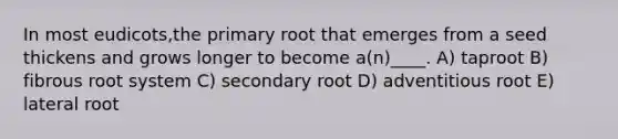 In most eudicots,the primary root that emerges from a seed thickens and grows longer to become a(n)____. A) taproot B) fibrous root system C) secondary root D) adventitious root E) lateral root