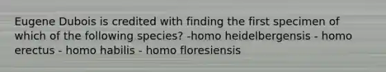 Eugene Dubois is credited with finding the first specimen of which of the following species? -homo heidelbergensis - homo erectus - homo habilis - homo floresiensis