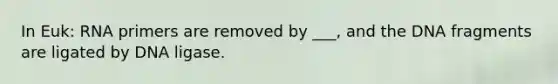 In Euk: RNA primers are removed by ___, and the DNA fragments are ligated by DNA ligase.