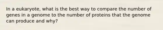 In a eukaryote, what is the best way to compare the number of genes in a genome to the number of proteins that the genome can produce and why?