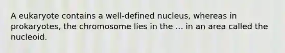 A eukaryote contains a well-defined nucleus, whereas in prokaryotes, the chromosome lies in the ... in an area called the nucleoid.