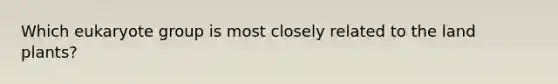 Which eukaryote group is most closely related to the land plants?