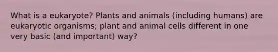 What is a eukaryote? Plants and animals (including humans) are eukaryotic organisms; plant and animal cells different in one very basic (and important) way?