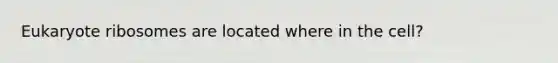 Eukaryote ribosomes are located where in the cell?