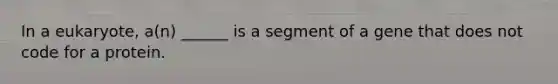 In a eukaryote, a(n) ______ is a segment of a gene that does not code for a protein.