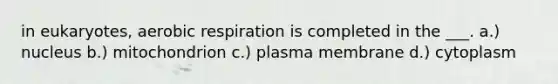 in eukaryotes, aerobic respiration is completed in the ___. a.) nucleus b.) mitochondrion c.) plasma membrane d.) cytoplasm