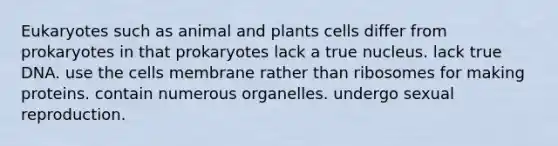 Eukaryotes such as animal and plants cells differ from prokaryotes in that prokaryotes lack a true nucleus. lack true DNA. use the cells membrane rather than ribosomes for making proteins. contain numerous organelles. undergo sexual reproduction.