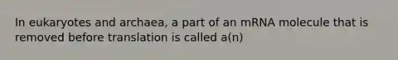 In eukaryotes and archaea, a part of an mRNA molecule that is removed before translation is called a(n)