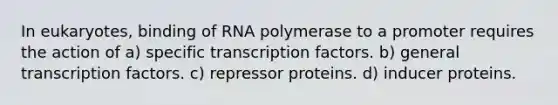 In eukaryotes, binding of RNA polymerase to a promoter requires the action of a) specific transcription factors. b) general transcription factors. c) repressor proteins. d) inducer proteins.