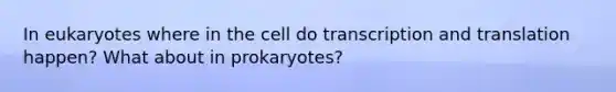 In eukaryotes where in the cell do transcription and translation happen? What about in prokaryotes?