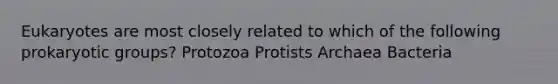 Eukaryotes are most closely related to which of the following prokaryotic groups? Protozoa Protists Archaea Bacteria