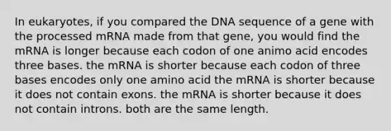 In eukaryotes, if you compared the DNA sequence of a gene with the processed mRNA made from that gene, you would find the mRNA is longer because each codon of one animo acid encodes three bases. the mRNA is shorter because each codon of three bases encodes only one amino acid the mRNA is shorter because it does not contain exons. the mRNA is shorter because it does not contain introns. both are the same length.