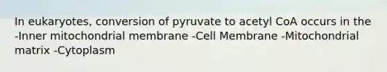 In eukaryotes, conversion of pyruvate to acetyl CoA occurs in the -Inner mitochondrial membrane -Cell Membrane -Mitochondrial matrix -Cytoplasm