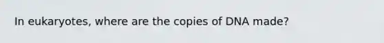 In eukaryotes, where are the copies of DNA made?